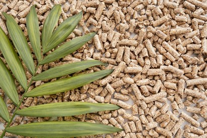 Vendita Pellet ENplus A1
